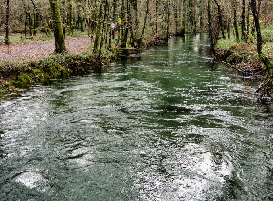 moinho Ponte de Lima lagoas de Bertiandos rio.jpg