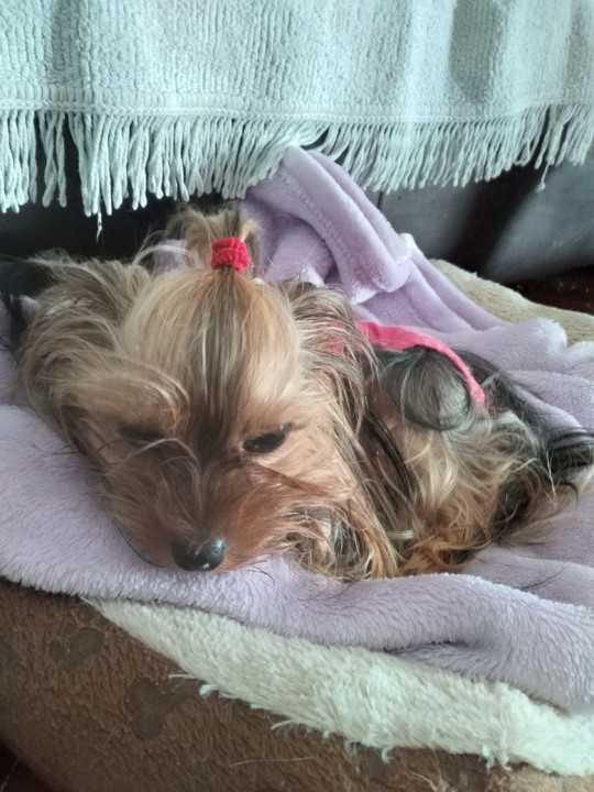 IMG_20210623_154248.jpg IMG_20210623_154248.jpg