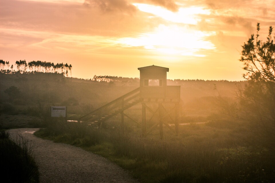 lagoa de obidos 5.jpg