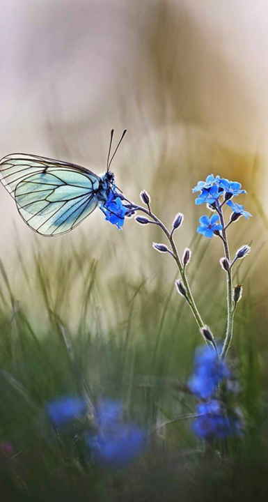 79491821_2846629008702501_194924256050544640_n.png 79491821_2846629008702501_194924256050544640_n.png