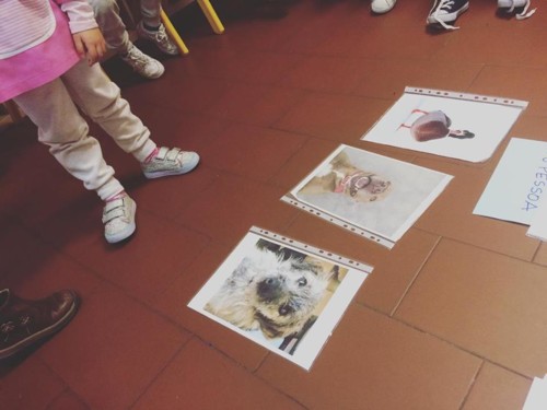 51389725_2515816361822374_5064955903111856128_n.jp