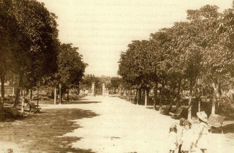 98- jardim marginal.jpg