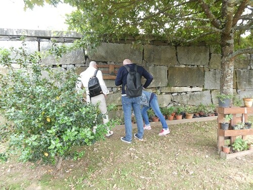 11a_Visita_CEP_El_Ejido (26).JPG