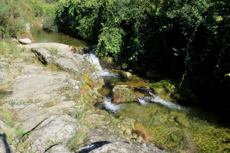 IMG_4772.JPG IMG_4772.JPG