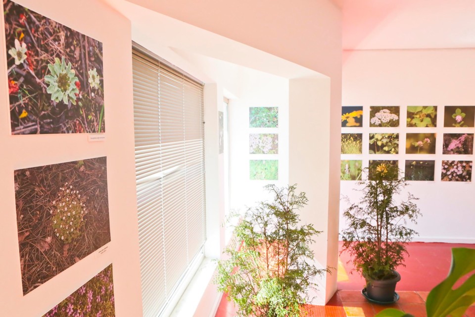 119107673_3229037407150766_5421914632633603750_o.j 119107673_3229037407150766_5421914632633603750_o.j