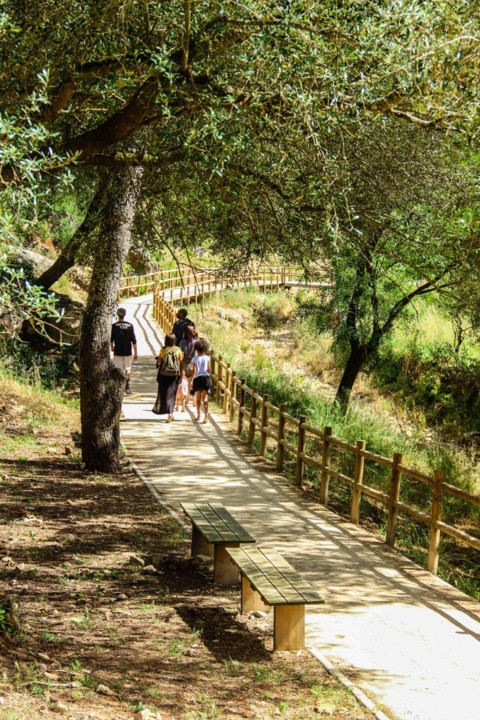 trilho-1-6 (683x1024).jpg