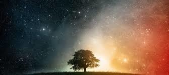 A possibilidade de realizarmos um sonho.jpg