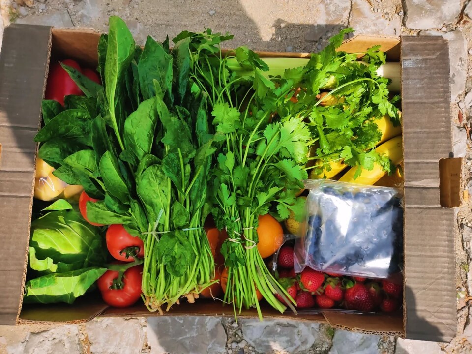 499253503_18478773169066958_3091237729034173762_n.