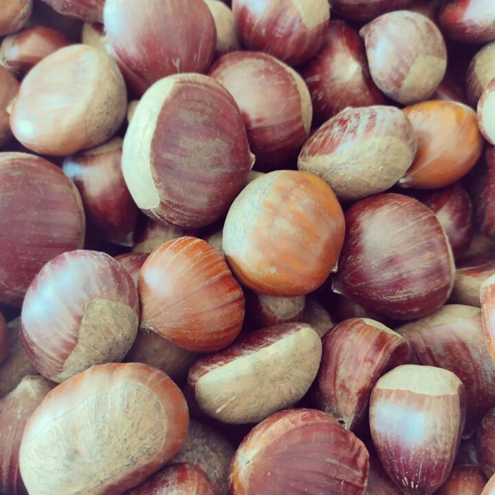 311573570_2439030589570021_4476683914436903326_n.j