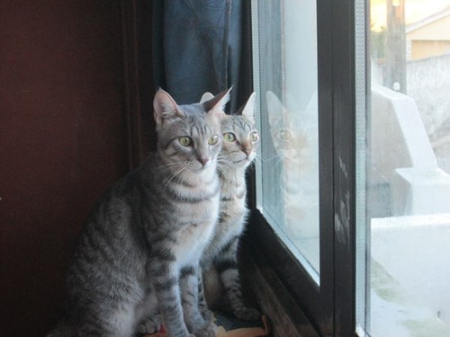 14462928_1782362695369200_3082382344343998525_n.jp