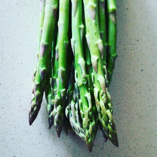 28577182_1058618940944533_7323876349047137206_n.jp