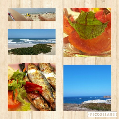 Collage 2016-06-26 21_16_23.jpg