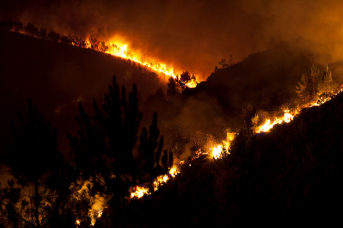 incendios.jpg