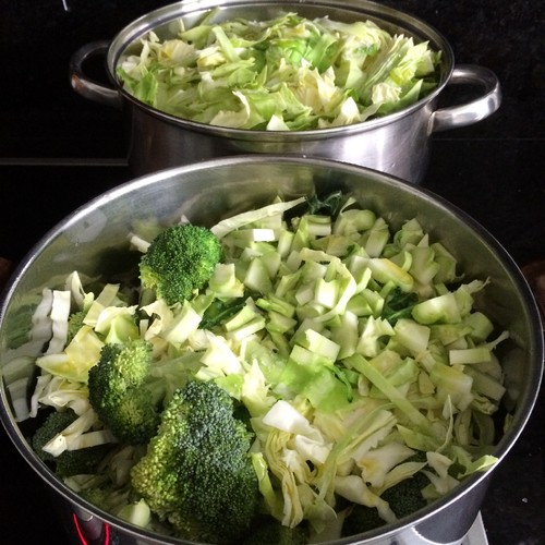 legumes_poetenalinha.JPG legumes_poetenalinha.JPG