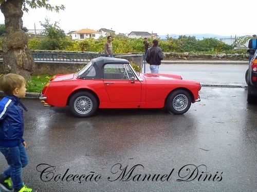 Rota do Moscatel Favaios 2015 (213).jpg