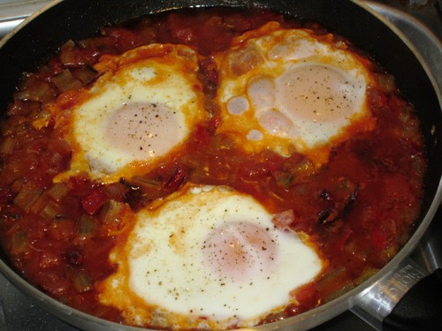 IMG_4622.JPG IMG_4622.JPG