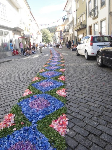 Passadeira de Flores Vouze2011