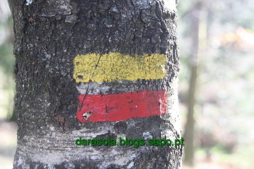 Biodiversidade_Freita_05.JPG Biodiversidade_Freita_05.JPG