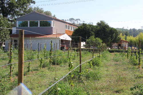 IMG_2262.jpg IMG_2262.jpg