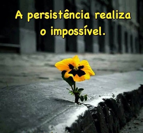 perstência.jpg perstência.jpg