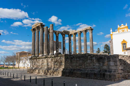 DSC00665.jpg DSC00665.jpg