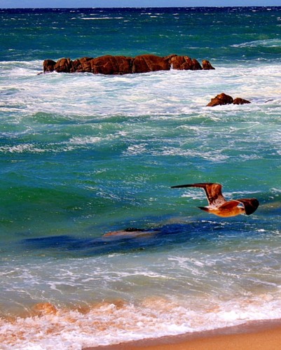 CENTRAL DIA DE NORTADA.JPG