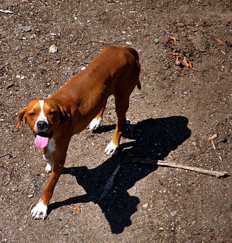 22.AGO.2018.JPG 22.AGO.2018.JPG