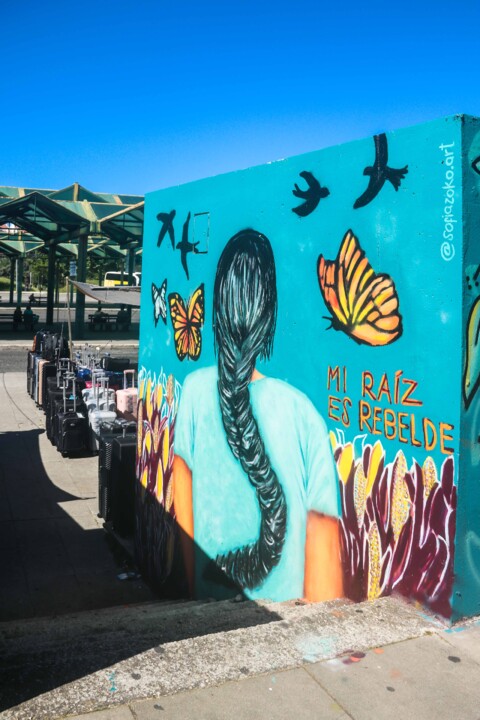 juntas hacemos 11.jpg