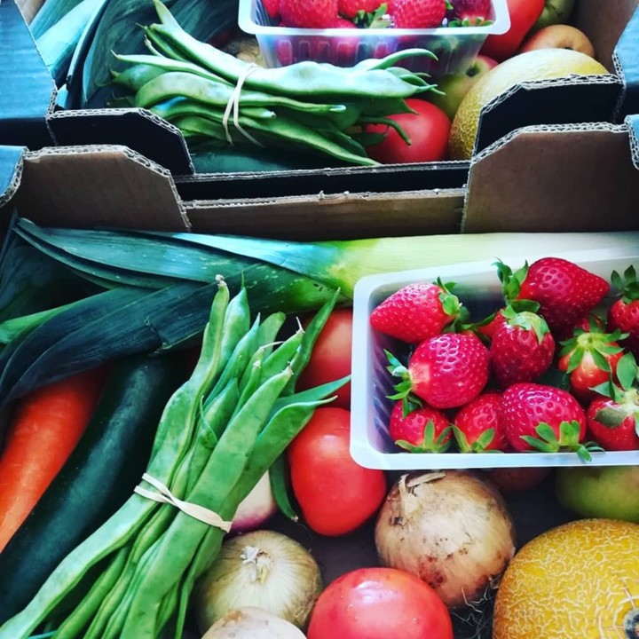 58679366_1358643487608742_6308249408026705920_n.jp