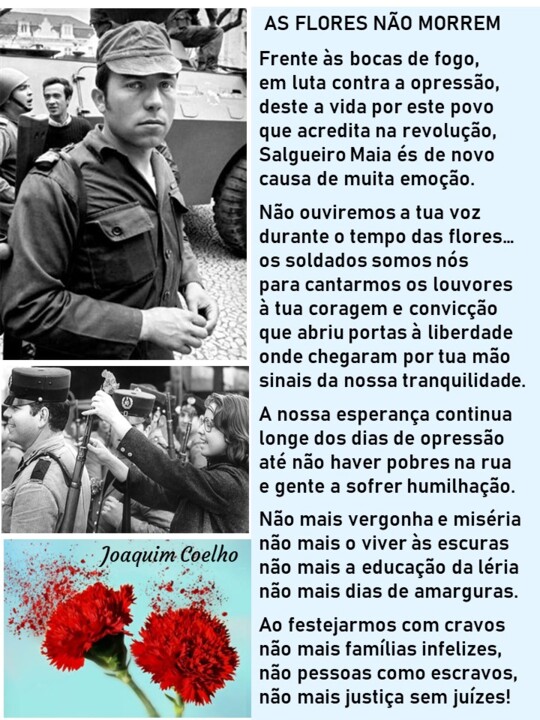 ....Poema-As Flores não morrem.jpg