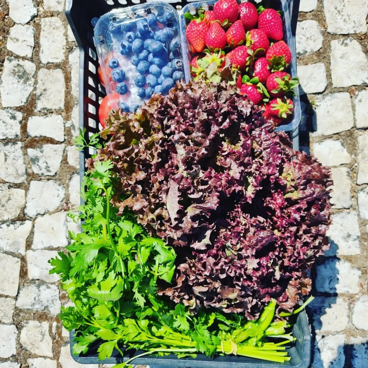 442489842_841296024694476_6941603489436936655_n.jp