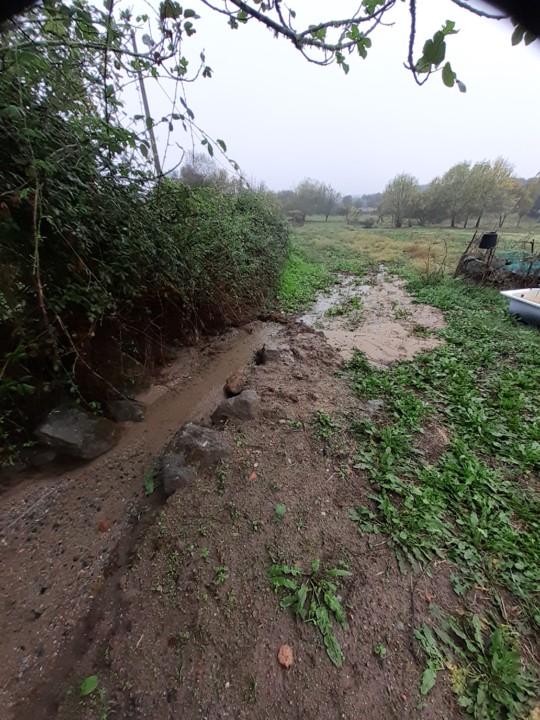 Gravilha Vale II. Foto Original. 2021.10.31.jpg