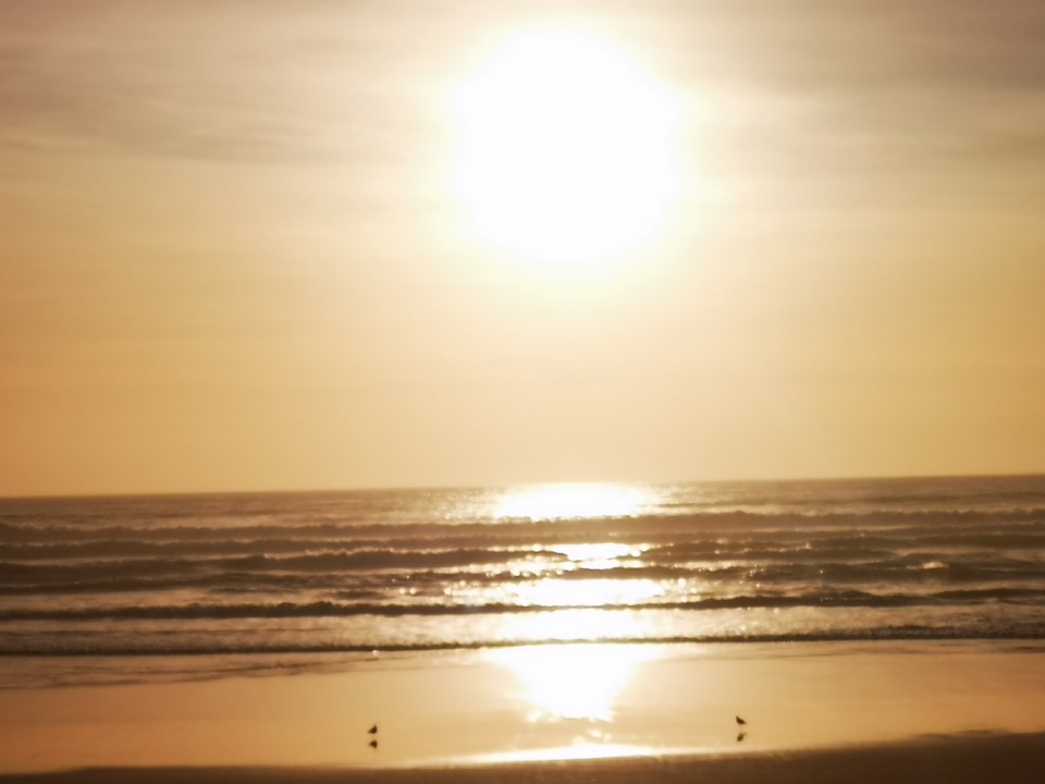 IMG_20201026_165308.jpg IMG_20201026_165308.jpg