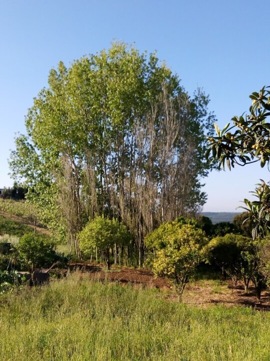 Não me canso disto_montes9.jpg