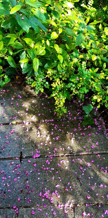 2024-03-03 09.35.07.jpg