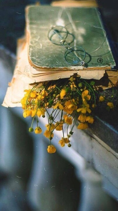 Não são memórias, é a vida. ❖ Manuel Altolag