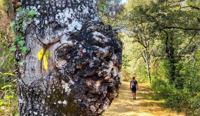 Caminho da geira balanco 2025 (06).jpg