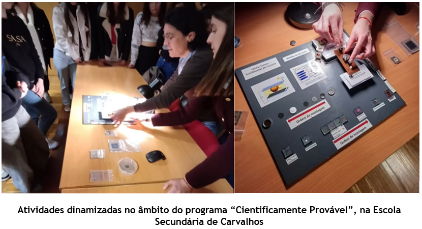 Captura de ecrã 2025-06-28 140936.png