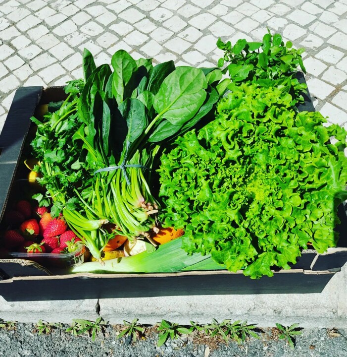 342981763_181030201517459_6744857821364038429_n.jp