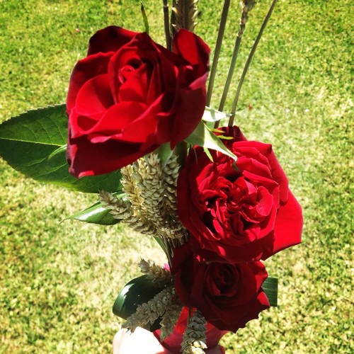 bodas de trigo.jpg bodas de trigo.jpg