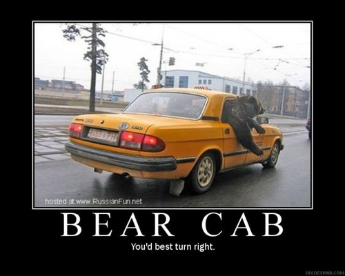 Bear Cab