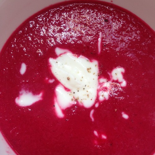 fotografia 1 (16).JPG