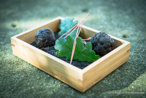 13-1086Trufas Alheira Vinhais©PhotoMárioCerdeira