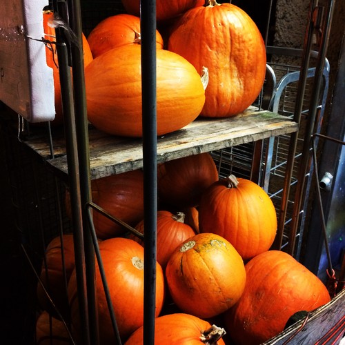 IMG_0631 1.JPG IMG_0631 1.JPG