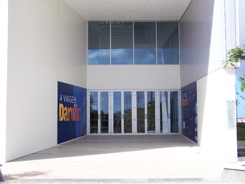 Cópia de 100_6332.JPG