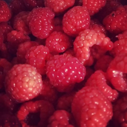 26195555_1021930594613368_7978847376916378961_n.jp