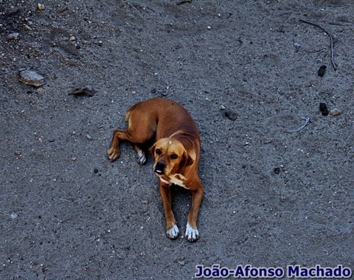 22.AGO.2018.JPG 22.AGO.2018.JPG