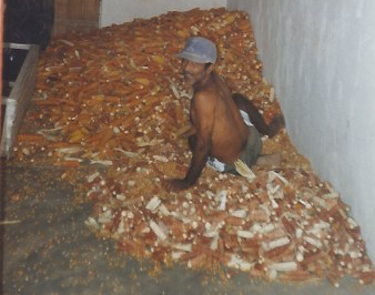 Scanner_201507.png
