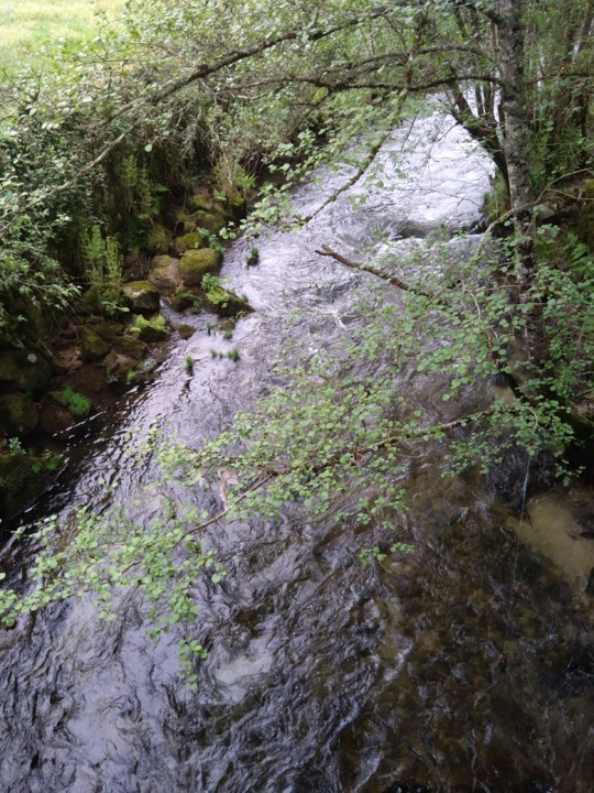 IMG_20210402_122053.jpg IMG_20210402_122053.jpg