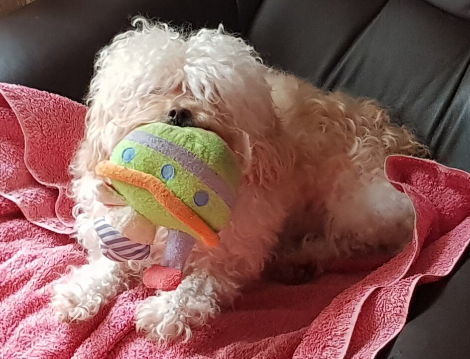 20180103_131256 (4).jpg